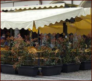 Ombrellone per Bar